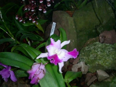 PICT0112.JPG