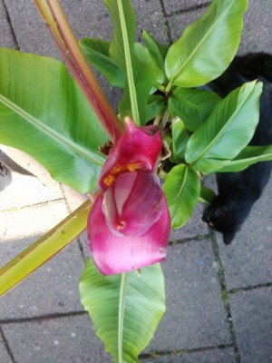IMG-20140709-WA0008.jpg