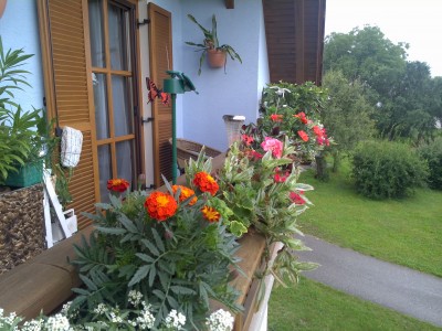 1405053674187.jpg