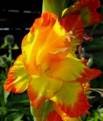Bild 194.jpg