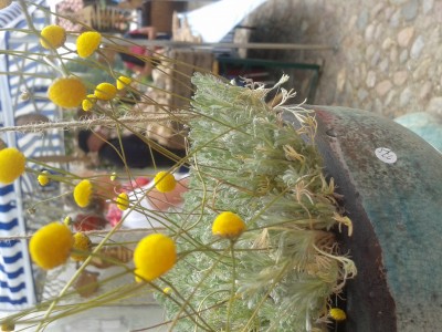 20140703_104404.jpg