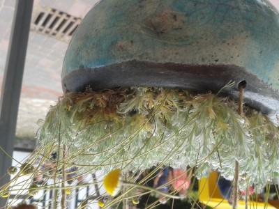 20140703_104433.jpg