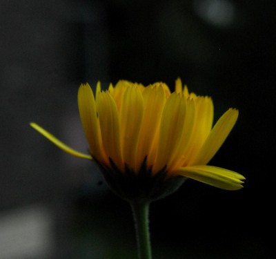 Sommer14 026pp.jpg
