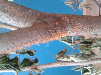 20140715_191341.jpg