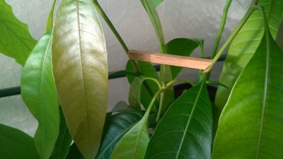 WP_20140716_008.jpg