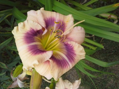 20140705_092947.jpg