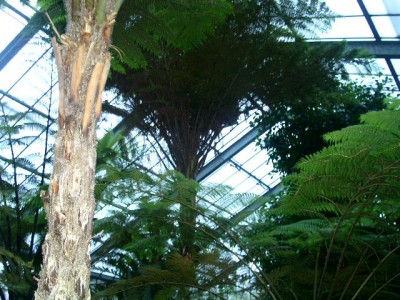 PICT0160.JPG
