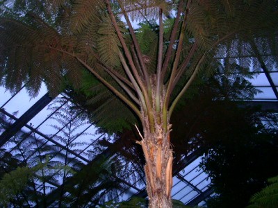 PICT0159.JPG