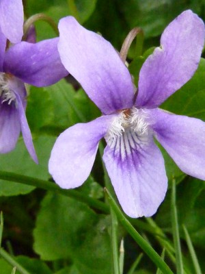 20140416 237 - Kopie.JPG