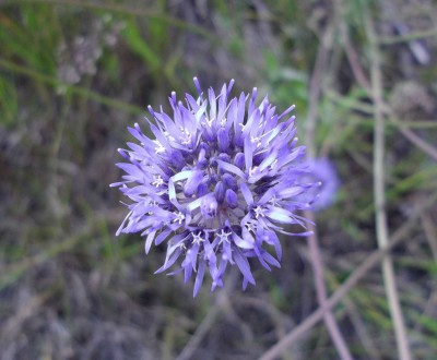Bild 171.jpg
