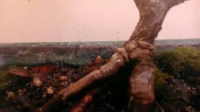 PicsArt_1406022388673[1].jpg