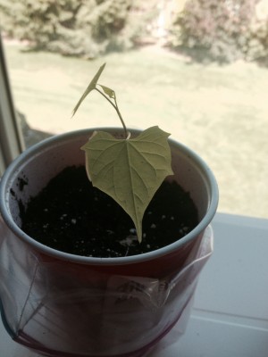 photo 23.JPG