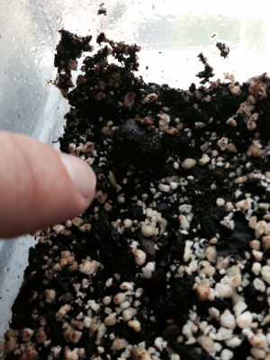 photo 24.JPG