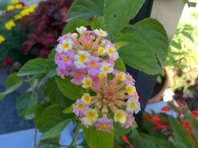 1406191829436.jpg