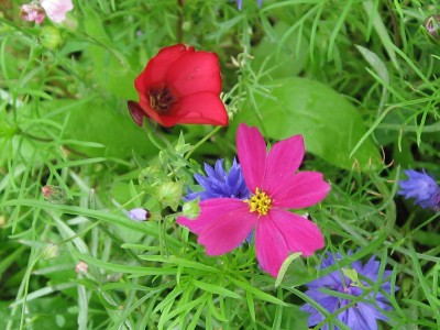 IMG_7362.JPG