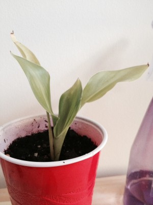 photo 29.JPG
