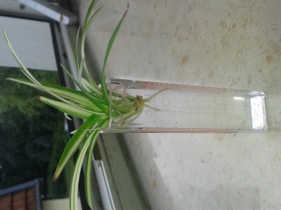 20140726_102025.jpg