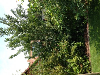Foto 3.JPG