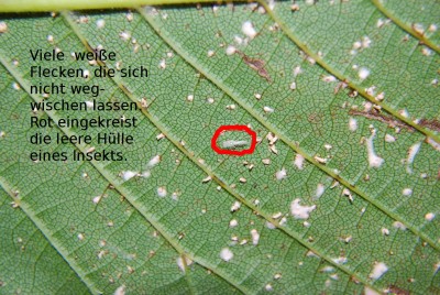 markierklein.jpg