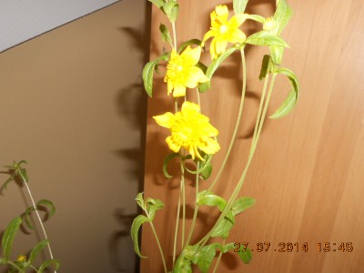 DSCN0516.JPG