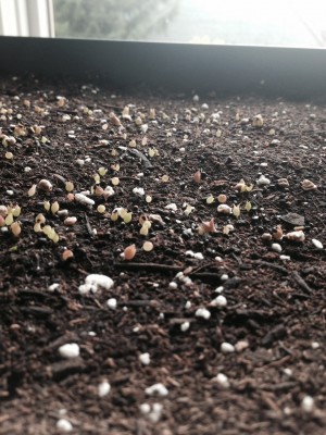 photo 34.JPG