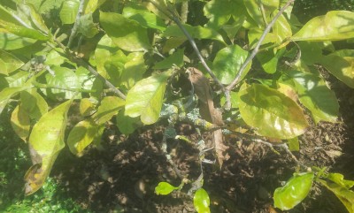 20140716_141050.jpg