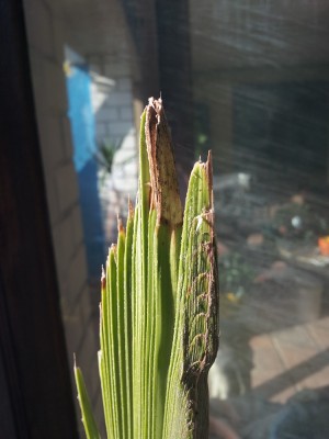 20140802_182407.jpg
