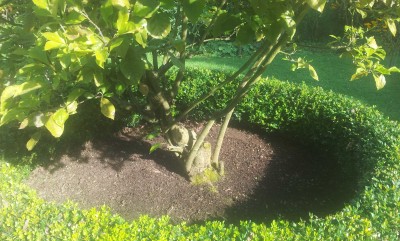 20140806_102038.jpg
