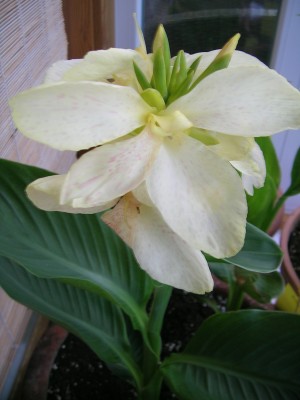 DSCN3213.JPG