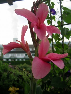 DSCN3214.JPG