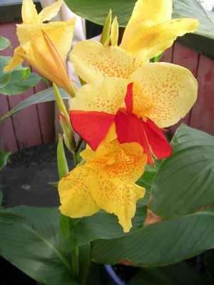 DSCN3215.JPG