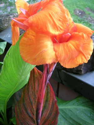 DSCN3217.JPG