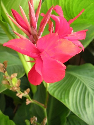 DSCN3218.JPG