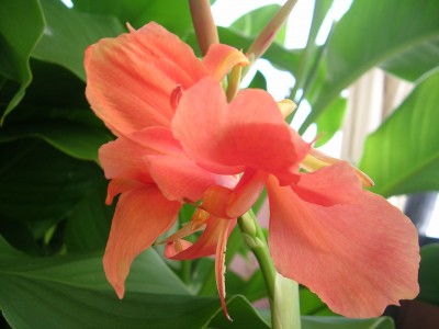 DSCN3219.JPG