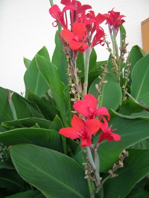 DSCN3220.JPG