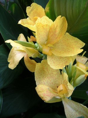 DSCN3221.JPG