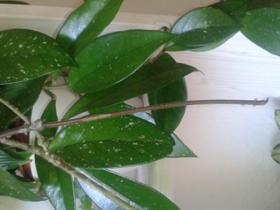 20140808_154749.jpg