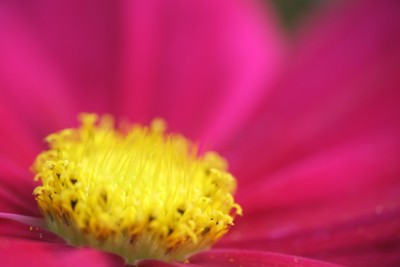 DSCF3626.jpg