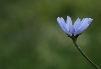 IMG_0062.JPG
