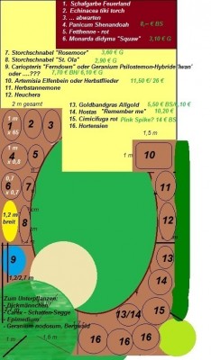 Grundstück Planung.jpg