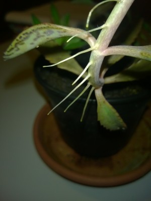 WP_20140818_008.jpg