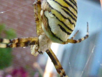 20140823 096 - Kopie.JPG