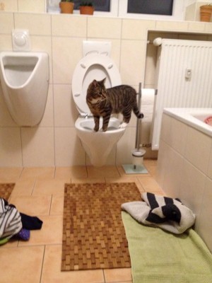 Reggie in Neu-Ulm.jpg