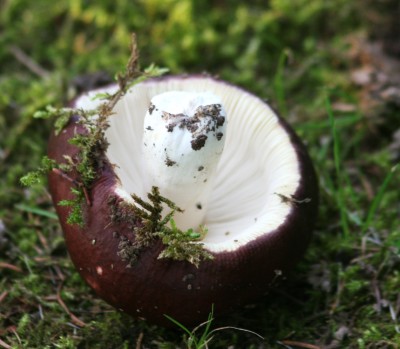 2014-08-24 18.29.20.jpg