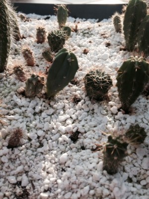 photo 47.JPG