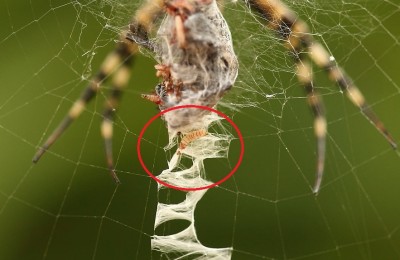 IMG_0444 - Kopie.JPG