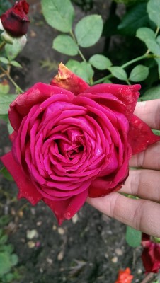 IMAG1202.jpg