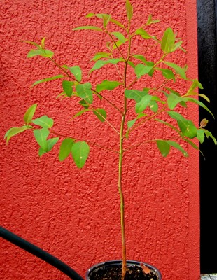 2014 - 5 002.jpg