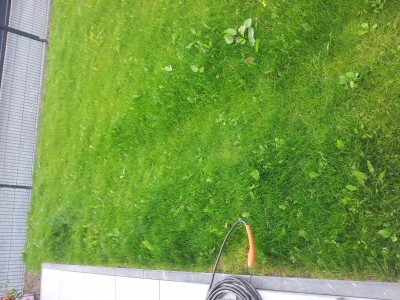 20140908_121235.jpg