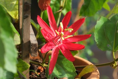 DSCF8932.jpg